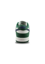 WOMEN NIKE DUNK LOW VERT DD1503-300