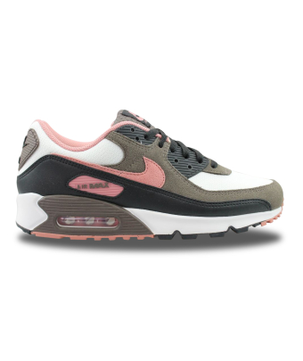 NIKE AIR MAX 90 'Ironstone Red/Stardust' DM0029-105