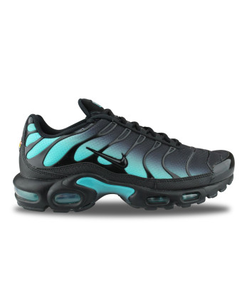 NIKE AIR MAX PLUS DUSTY CACTUS DM0032-016