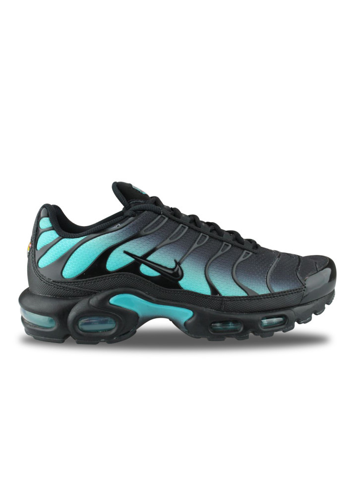 NIKE AIR MAX PLUS DUSTY CACTUS DM0032-016