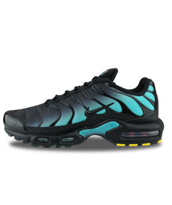 NIKE AIR MAX PLUS DUSTY CACTUS DM0032-016