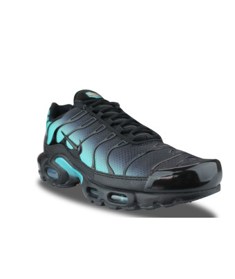 NIKE AIR MAX PLUS DUSTY CACTUS DM0032-016