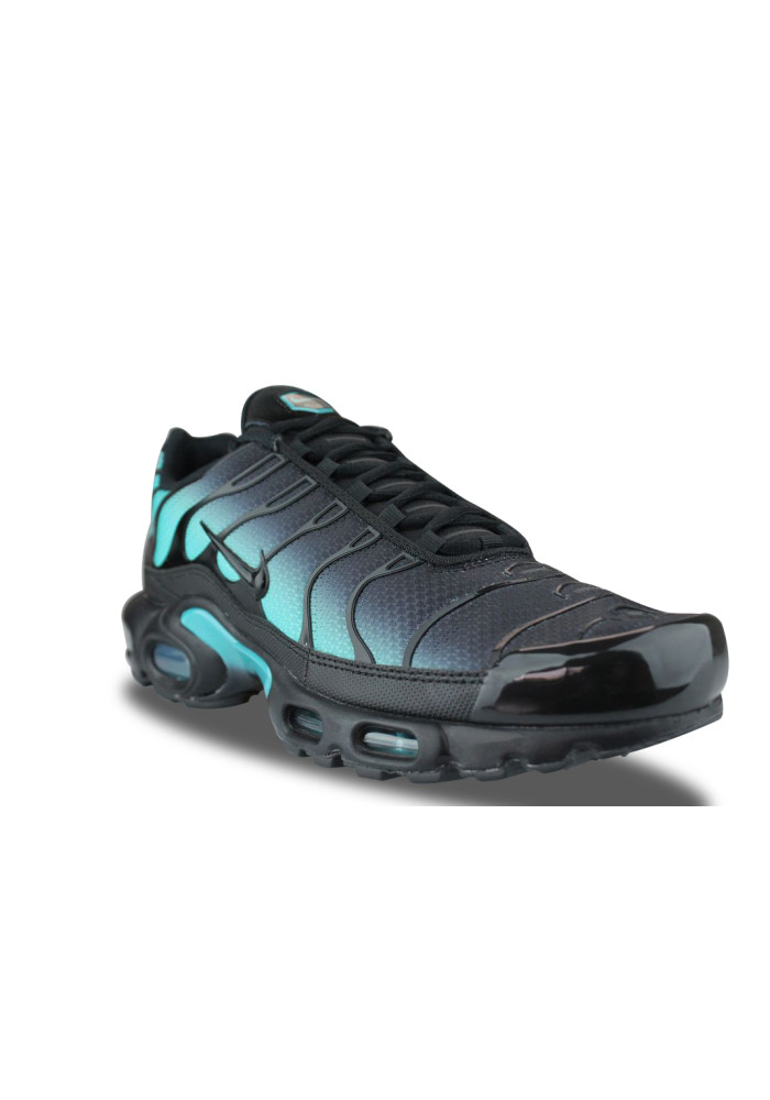 NIKE AIR MAX PLUS DUSTY CACTUS DM0032-016