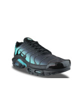 NIKE AIR MAX PLUS DUSTY CACTUS DM0032-016