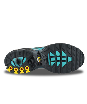 NIKE AIR MAX PLUS DUSTY CACTUS DM0032-016