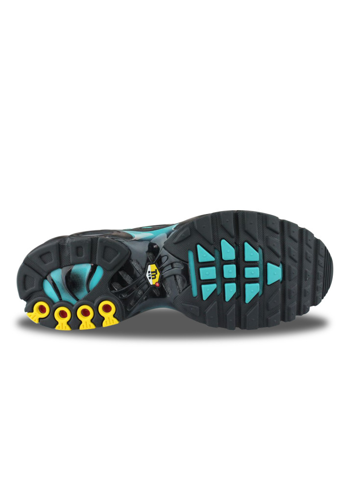 NIKE AIR MAX PLUS DUSTY CACTUS DM0032-016