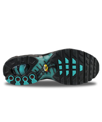 NIKE AIR MAX PLUS JUNIOR DUSTY CACTUS IF6169-001