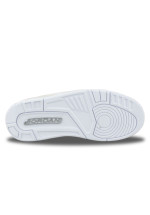 AIR JORDAN 3 RETRO PURE MONEY CT8532-111