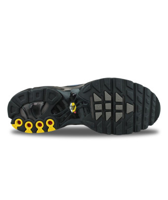 NIKE AIR MAX PLUS DM0032-018
