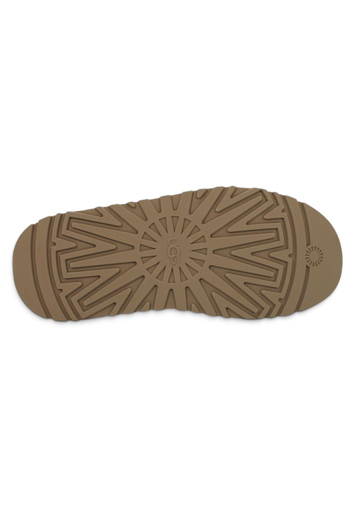 UGG W TAZZ 2 PORTOBELLO 1174471PRTBL
