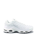 NIKE AIR MAX PLUS BLANC 604133-139