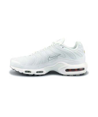 NIKE AIR MAX PLUS BLANC 604133-139