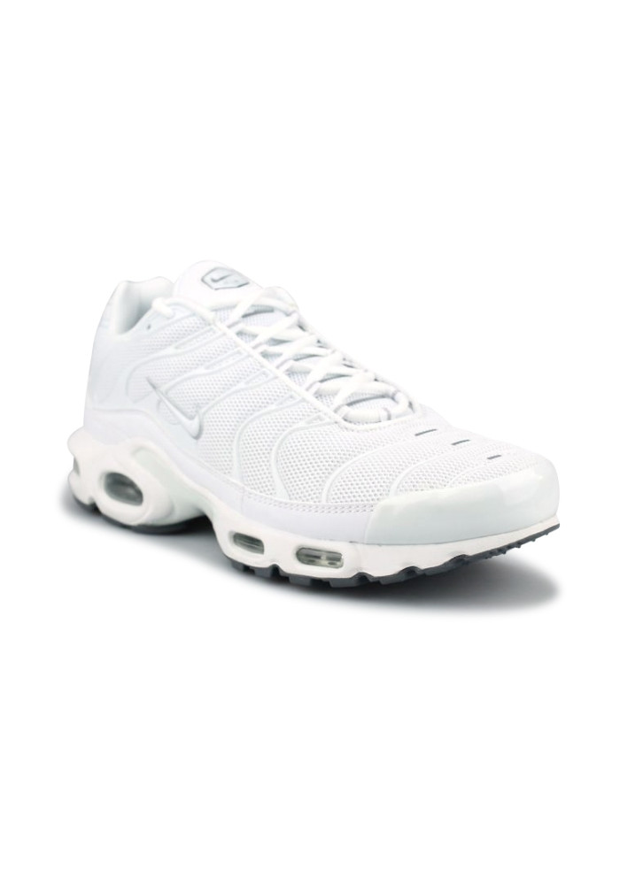 NIKE AIR MAX PLUS BLANC 604133-139
