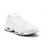 NIKE AIR MAX PLUS BLANC 604133-139