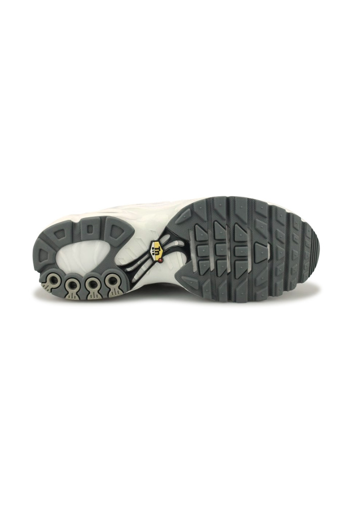 NIKE AIR MAX PLUS BLANC 604133-139